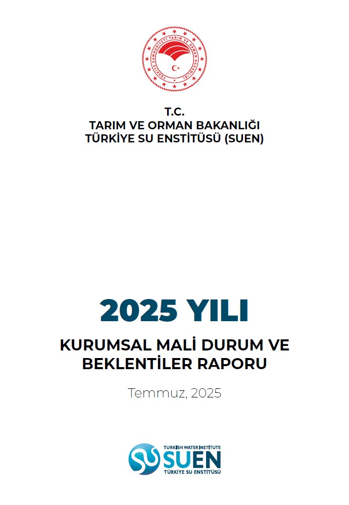 SUEN 2025 Institutional Financial Situation and Expectations Report (in Turkish)