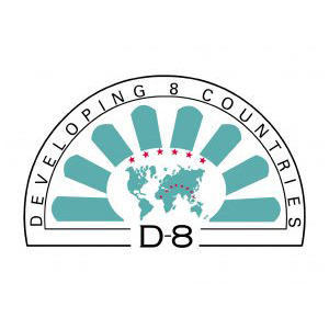 Developing Eight (D-8)