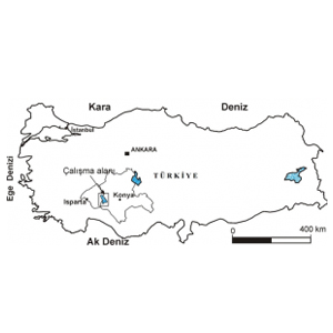 Gap Analysis for Water Resources Management in the Beyşehir Lake Sub-Basin